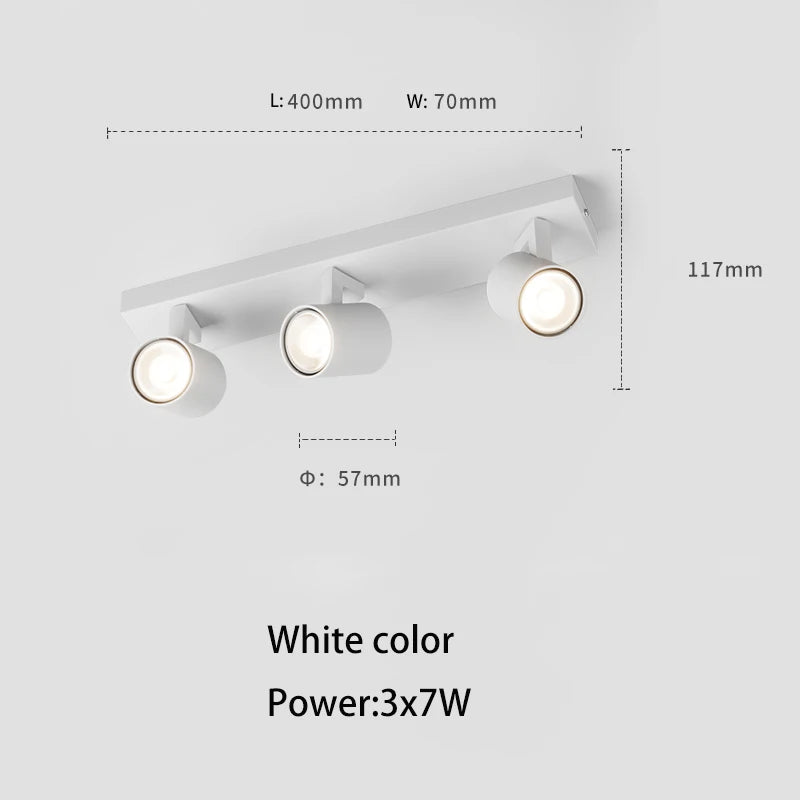 48426518348122|48426518544730|48426518610266