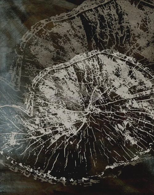 affiches abstraites sur les anneaux des arbres décorations murales