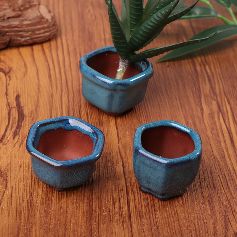 mini pots à bonsaï en céramique pour plantes succulentes artisanaux