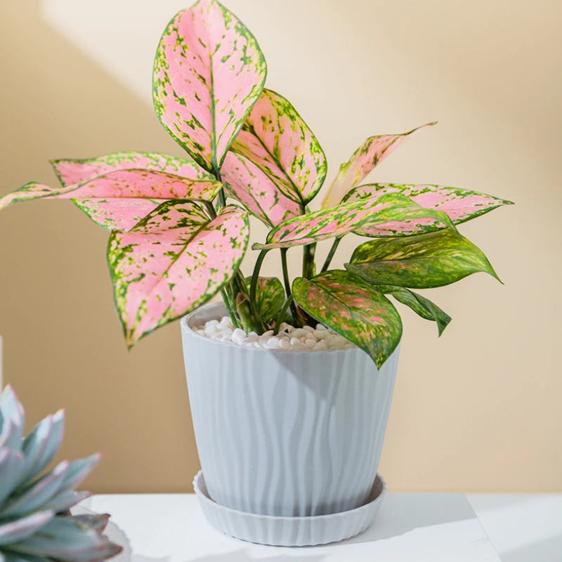 pot de fleurs haut simple à ondulations en plastique multicolore