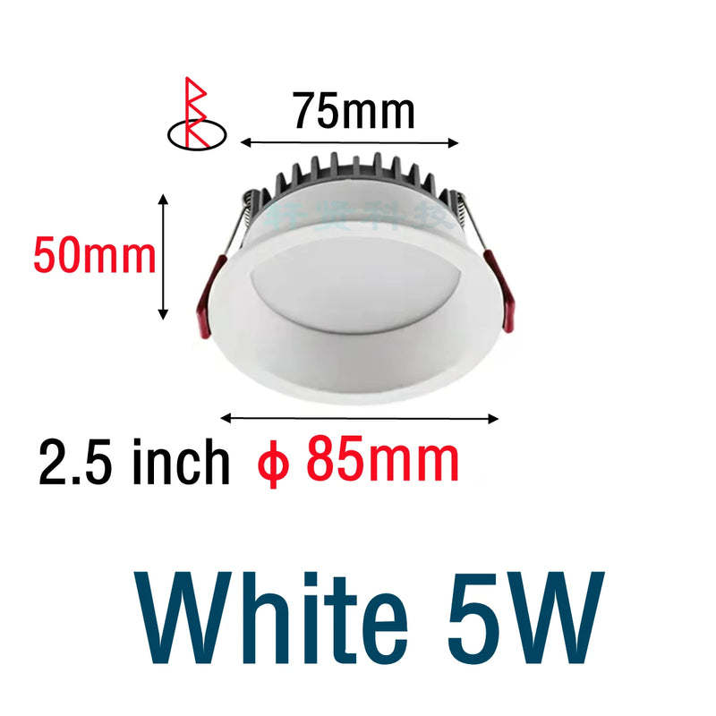 48575140200794|48575144526170|48575144558938|48575144591706|48575144624474|48575144722778
