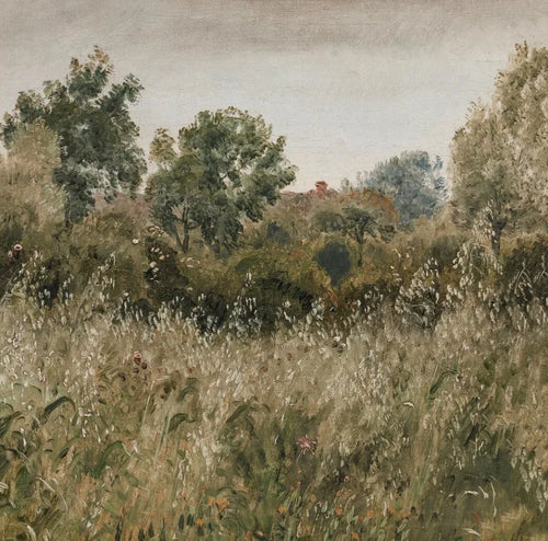 affiche d'art vintage nature morte prairie tournesol fleurs sauvages