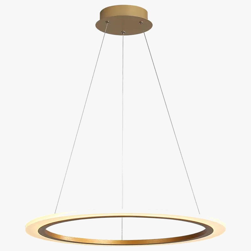 lustre-circulaire-minimaliste-moderne-avec-clairage-led-d-apprentissage-5.png