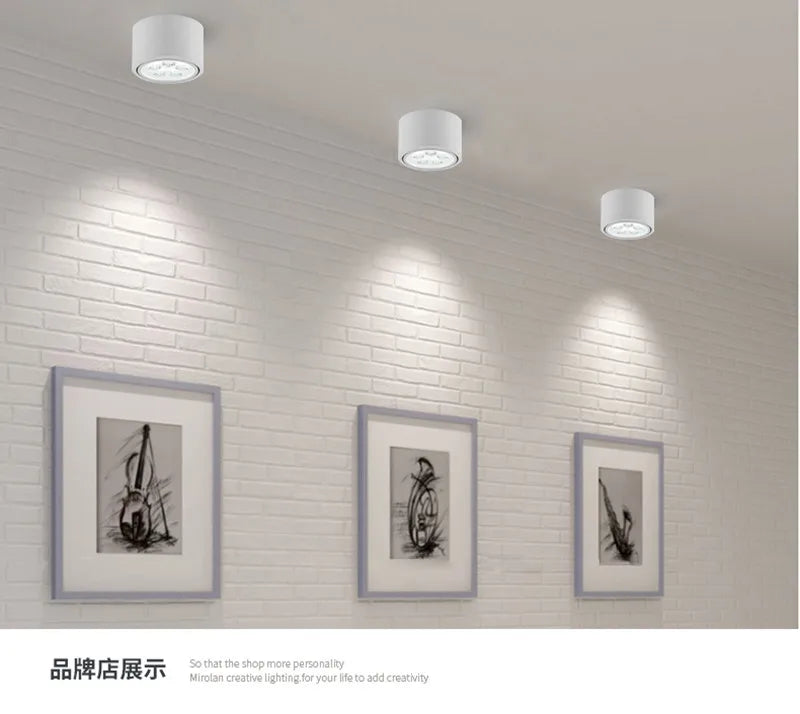 plafonnier-mont-en-surface-downlight-smd5730-6-w-10-w-14-w-18-w-24-w-ac85-265v-cob-led-plafonnier-spot-clairage-int-rieur-5.png
