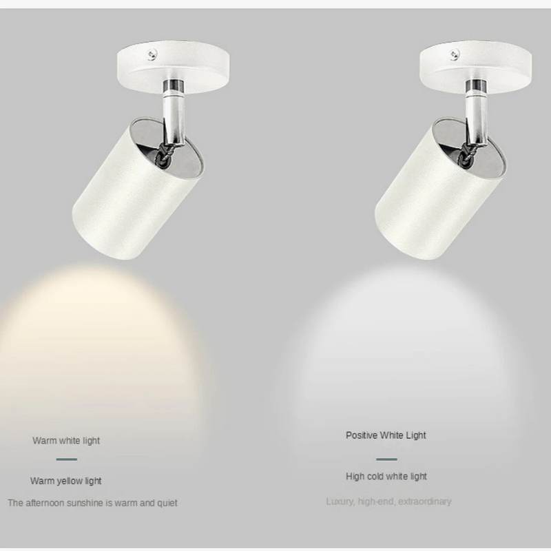 plafonnier-t-te-rotative-salon-salle-manger-vestiaire-2.png