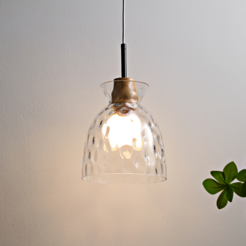 pendant light modern with lampshade in Dante glass