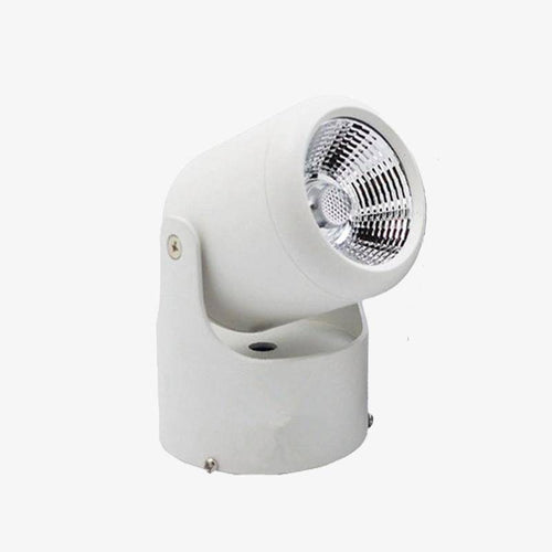 Spot LED directionnel (noir ou blanc)