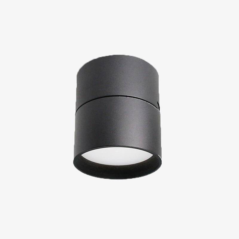 Spotlight modern round adjustable LED Loft