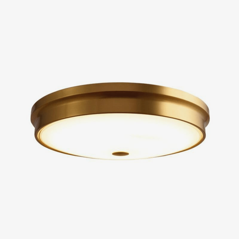 Round metal LED ceiling light with thick edges