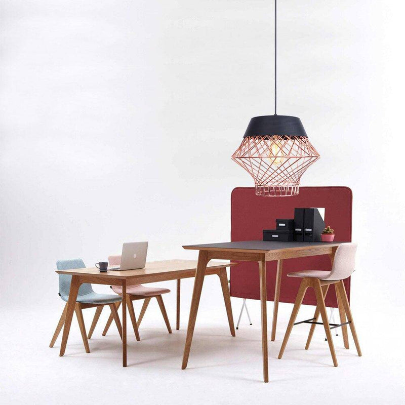 pendant light LED design with industrial metal cage Loft