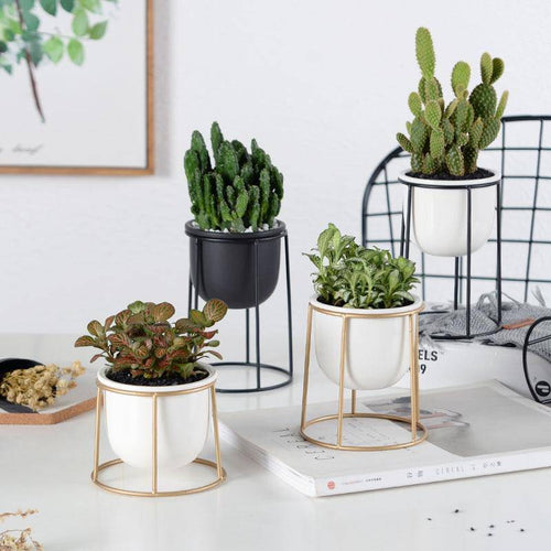 Set of 3 modern Scandinavian style plant pedestals