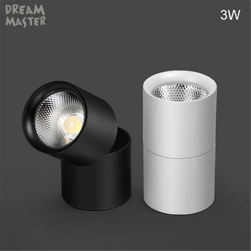 Spotlight Cylindrical turnable LED Rotation