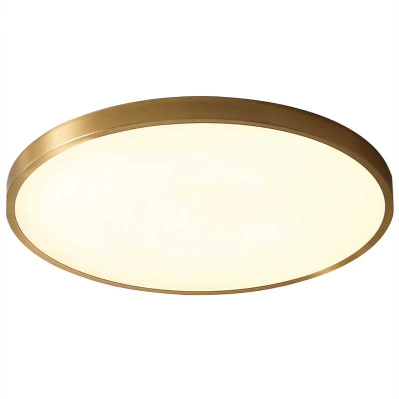 Flat and round LED ceiling light