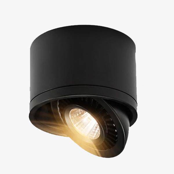 Spotlight LED steerable Mounted