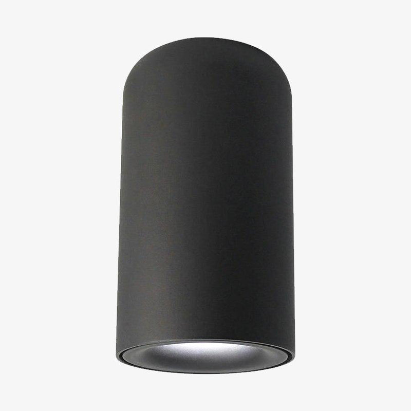 Spotlight with rounded cylindrical design Mount