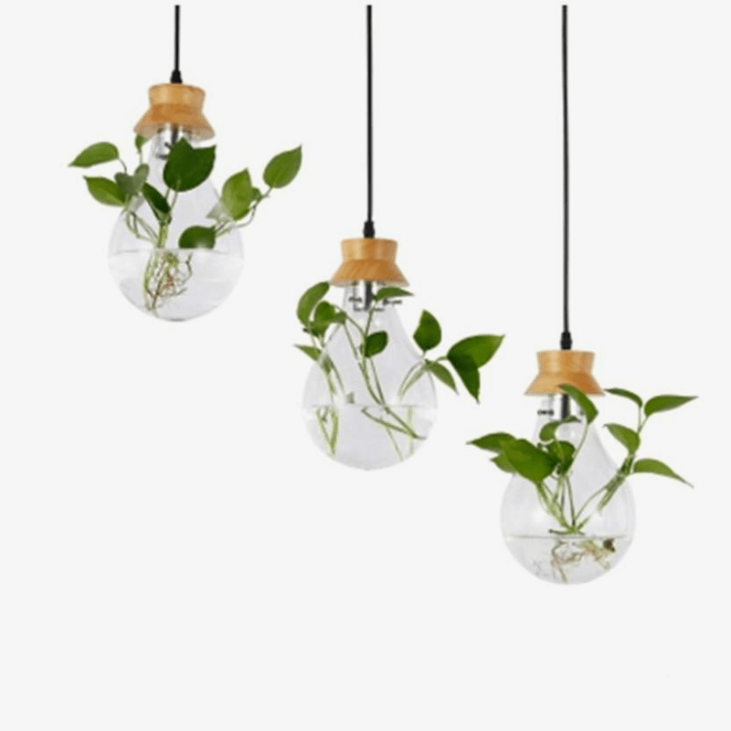 pendant light glass jar with flower and wooden stand
