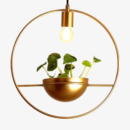 pendant light LED design circle with plant ball Ring