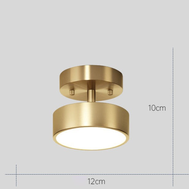 Celio modern minimalist metal LED ceiling light