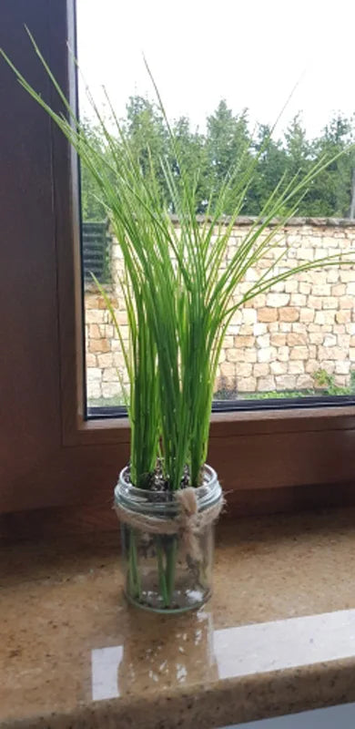 bouquet de plantes artificielles tropicales pour décoration intérieure et extérieure - vue 8 sur 8