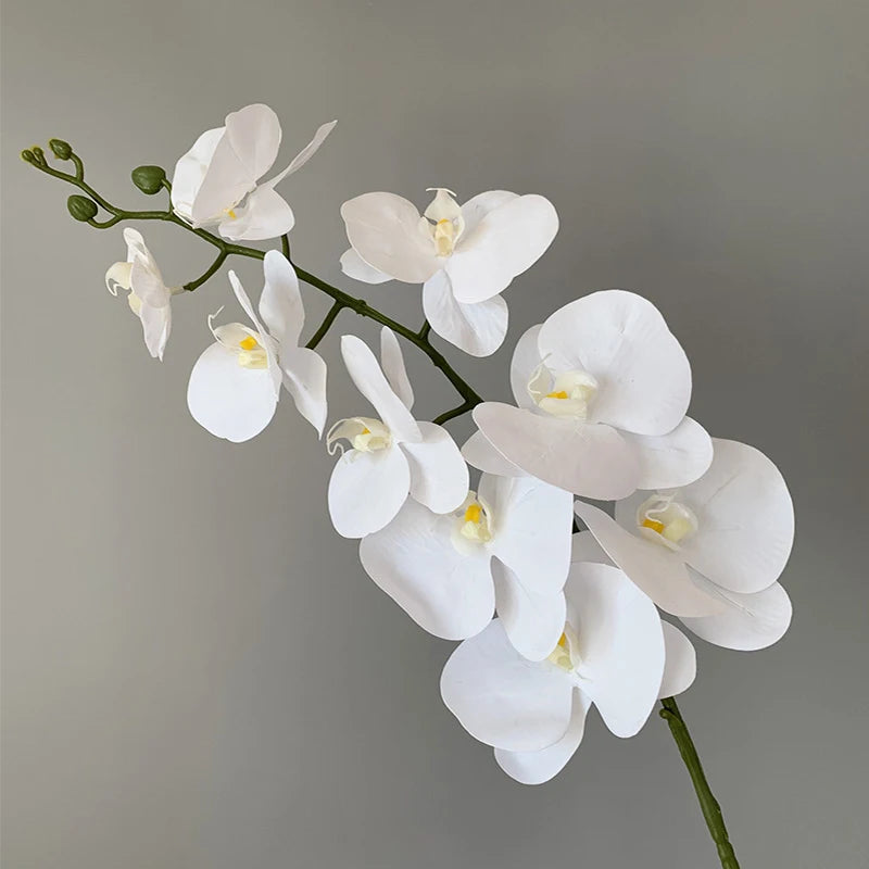 orchidée phalaenopsis préservée fleurs artificielles pour décoration mariage - vue 8 sur 17
