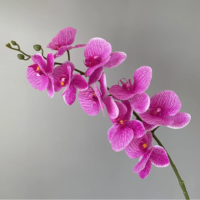orchidée phalaenopsis préservée fleurs artificielles pour décoration mariage - vue 9 sur 17