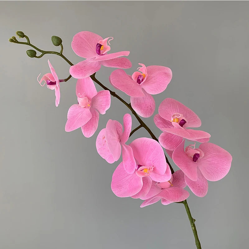orchidée phalaenopsis préservée fleurs artificielles pour décoration mariage - vue 12 sur 17