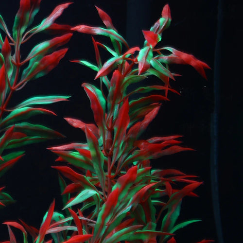 gazon aquatique artificiel pour décoration d'aquarium avec plantes en plastique - vue 7 sur 10