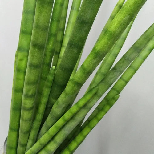 cactus artificiel cylindrique en plastique pour décoration intérieure et extérieure - vue 7 sur 9
