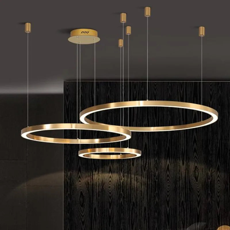 lustre led moderne brossé avec anneau lumineux - vue 4 sur 12