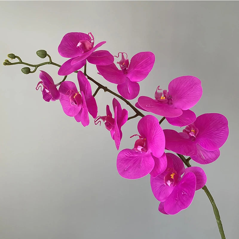 orchidée phalaenopsis préservée fleurs artificielles pour décoration mariage - vue 14 sur 17