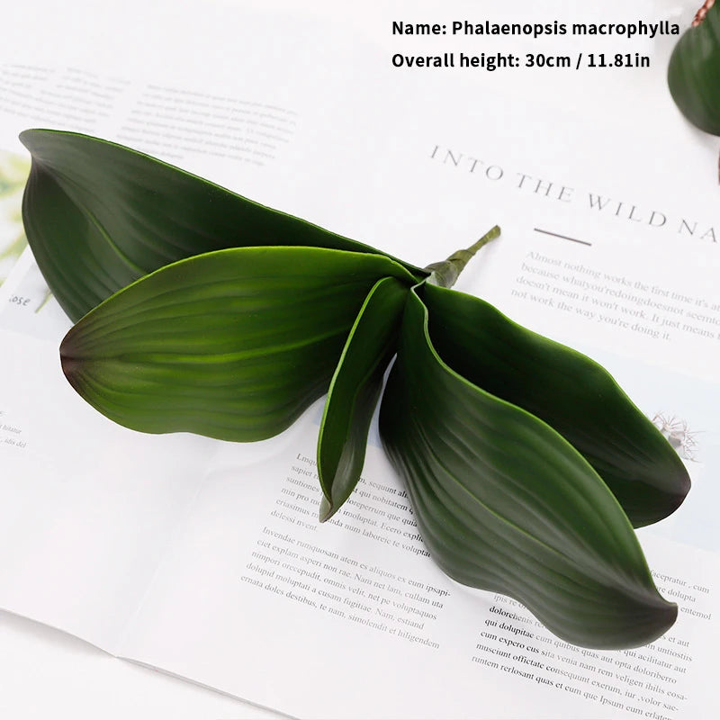 orchidée phalaenopsis préservée fleurs artificielles pour décoration mariage - vue 15 sur 17