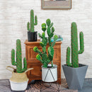 cactus artificiel décoratif pour décoration tropicale moderne