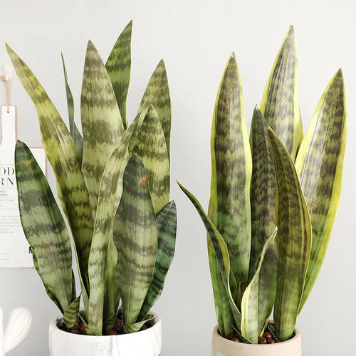 plantes artificielles feuilles de tigre pour décoration intérieure et jardin - vue 2 sur 12