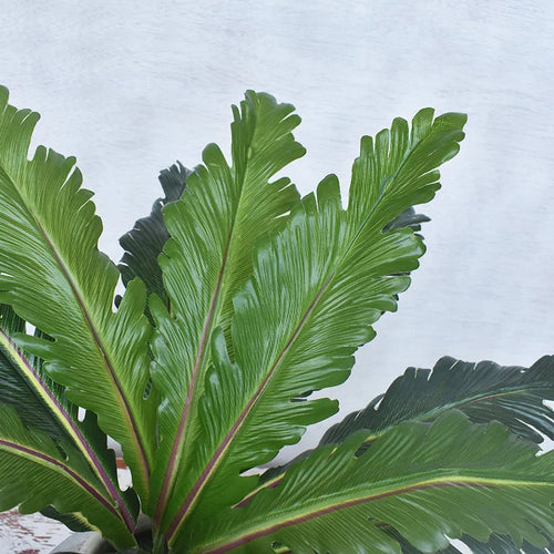 plantes artificielles tropicales fougères et feuilles décoratives - vue 7 sur 7