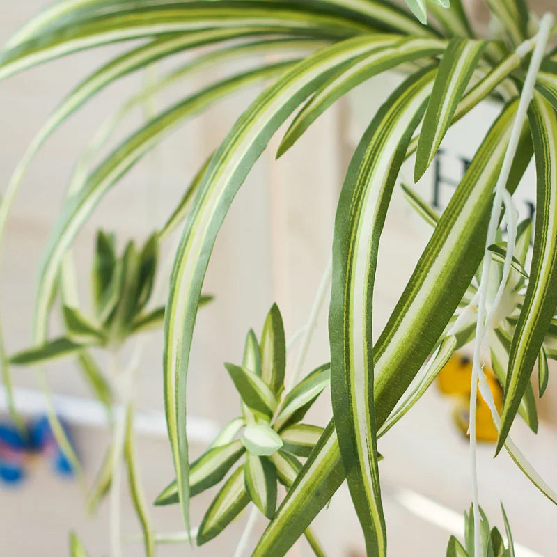 plantes artificielles suspendues à 5 fourches pour décoration intérieure - vue 3 sur 7