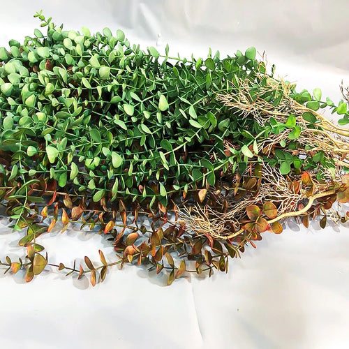 plantes artificielles en rotin d'eucalyptus pour décoration murale et extérieure - vue 6 sur 8
