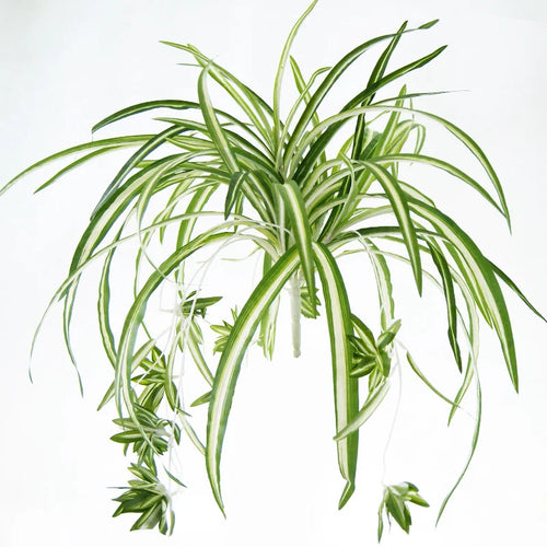 plantes artificielles suspendues à 5 fourches pour décoration intérieure - vue 6 sur 7