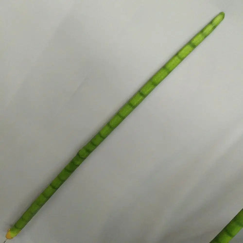 cactus artificiel cylindrique en plastique pour décoration intérieure et extérieure - vue 10 sur 9
