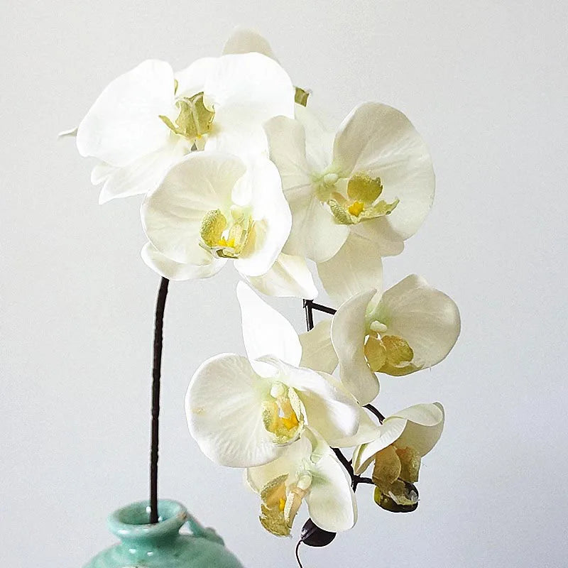 10 têtes d'orchidées artificielles rétro pour décorations élégantes - vue 3 sur 17