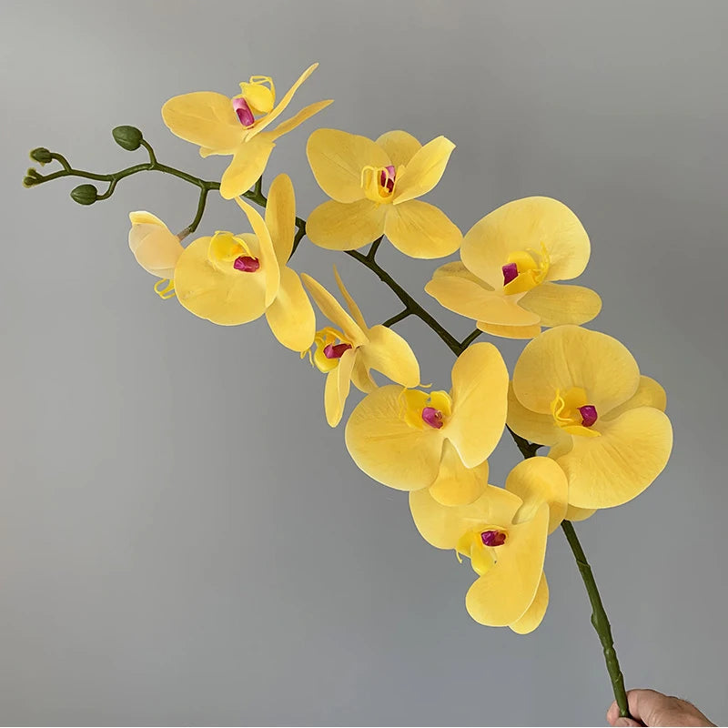 orchidée phalaenopsis préservée fleurs artificielles pour décoration mariage - vue 17 sur 17