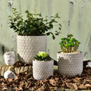 moule en silicone pour pot de fleurs en béton artisanat jardinage