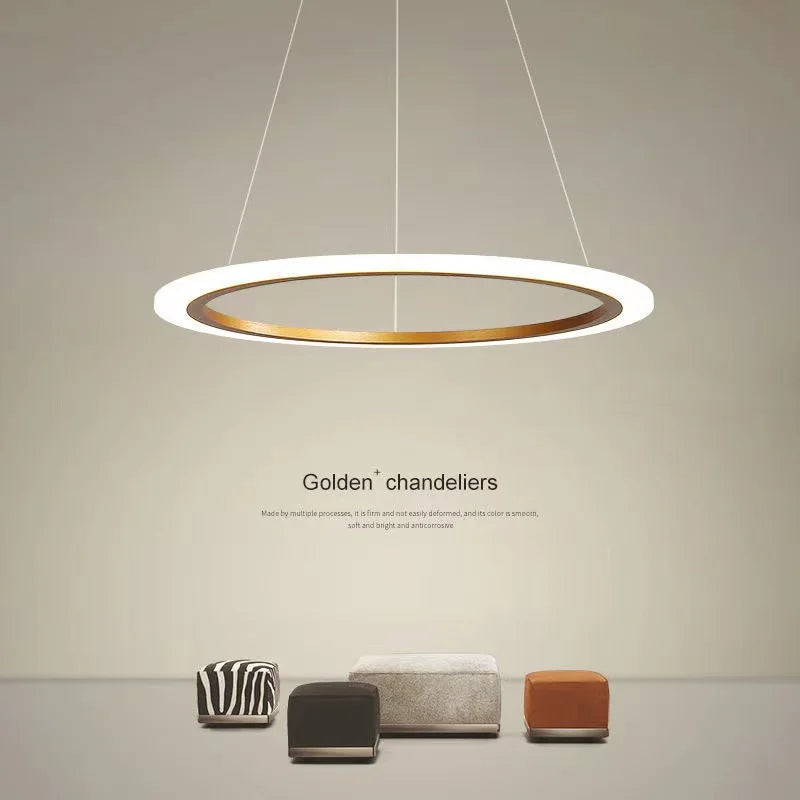 lustre circulaire minimaliste moderne avec éclairage led d'apprentissage