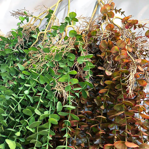 plantes artificielles en rotin d'eucalyptus pour décoration murale et extérieure - vue 7 sur 8