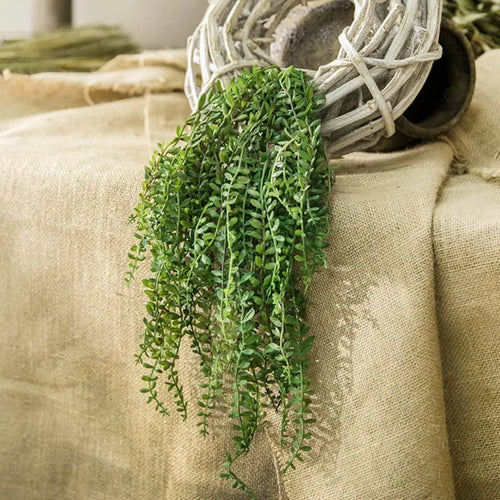 plantes succulentes artificielles pour décoration murale en rotin - vue 4 sur 7