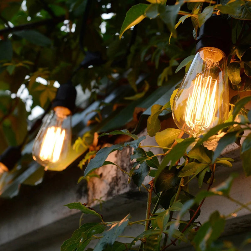 ampoules vintage rétro décoratives style edison 6 pièces
