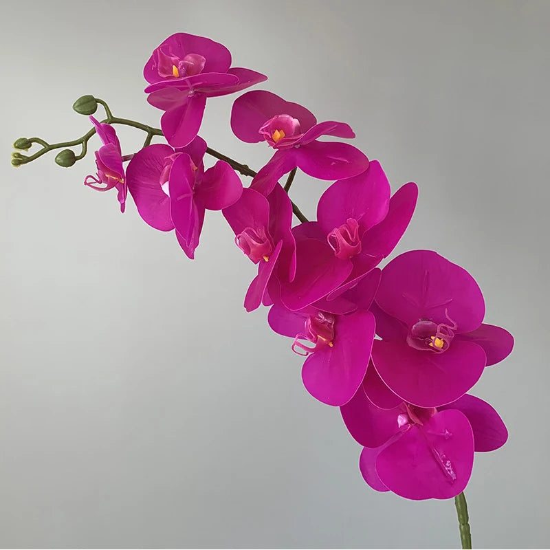orchidée phalaenopsis préservée fleurs artificielles pour décoration mariage - vue 16 sur 17
