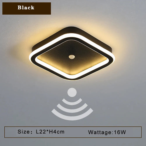 48163610460506|48163610526042