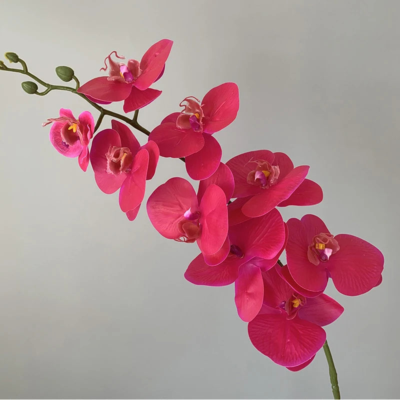 orchidée phalaenopsis préservée fleurs artificielles pour décoration mariage - vue 13 sur 17