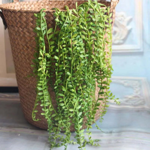 plantes succulentes artificielles pour décoration murale en rotin - vue 2 sur 7