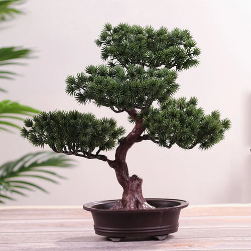 plante en pot décoratif style bonsaï pour maison ou bureau - vue 6 sur 5